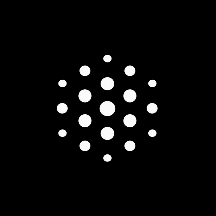 Blackbox
